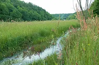 Zuèfluss us èm Nadurschutzgebièt Wüèschtè See im dütschè Deil vom Wangèdal