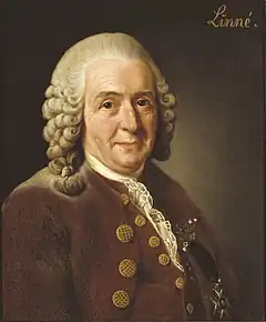 Carl von Linné, Alexander Roslin, 1775.Cochaslys jeh çhaglym Cashtal Gripsholm.