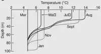 混合層不同月份中深度（縱軸）與溫度（橫軸）的變化。