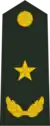 少将