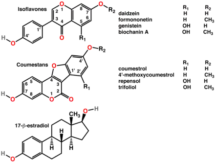 多酚包括植物雌激素（顶部和中部），是动物雌激素的有效模拟物（底部）。