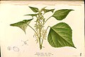 Thumbnail for version as of 11:16, 27 January 2007