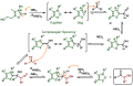 Thumbnail for version as of 15:05, 21 February 2021