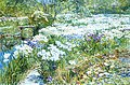 Thumbnail for version as of 20:27, 15 March 2006