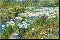Thumbnail for version as of 20:16, 5 March 2010