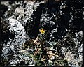 Thumbnail for version as of 12:25, 25 June 2022