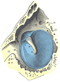 Thumbnail for version as of 03:28, 11 February 2006