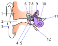 Thumbnail for version as of 11:00, 16 December 2009